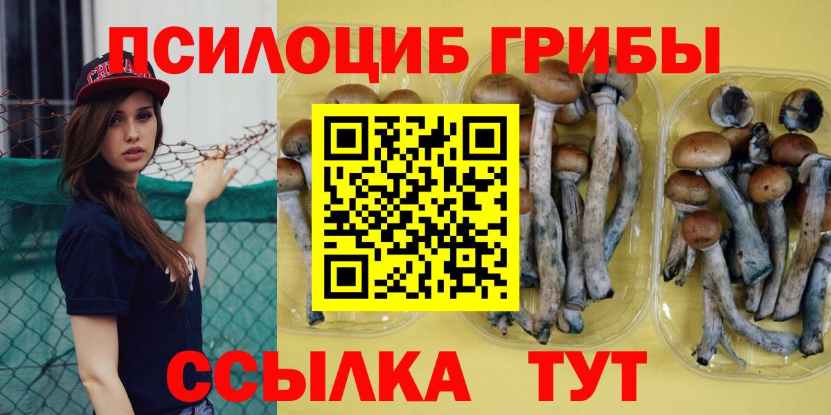 Псилоцибиновые грибы MAGIC MUSHROOMS Валуйки