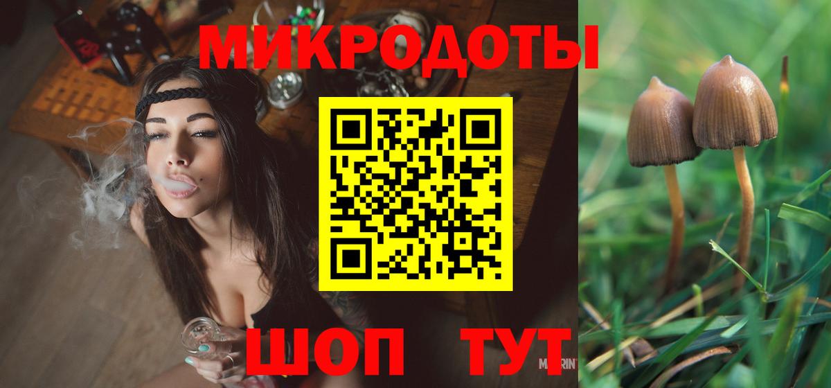 Галлюциногенные грибы Psilocybe  Вход с VPN  Валуйки 